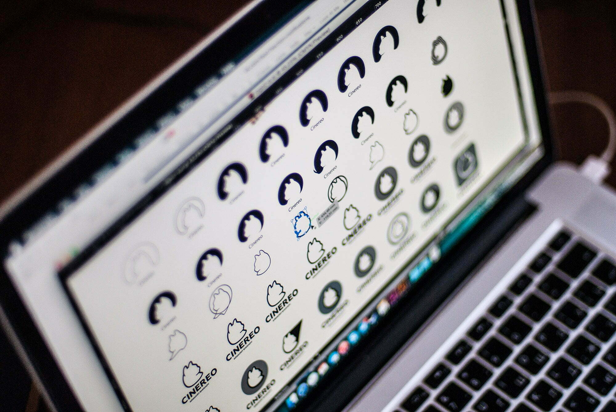 Dozens of logo iterations on screen — different silhouette versions, weights, and wordmark pairings